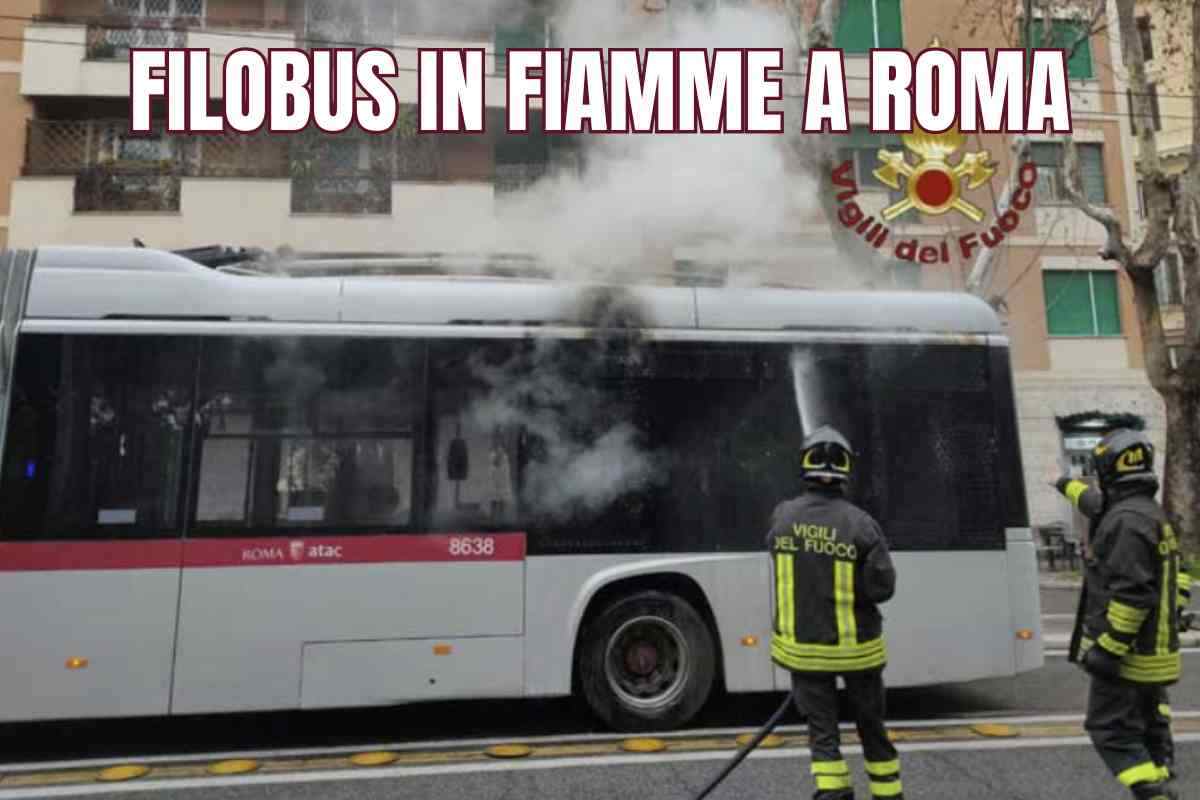 Filobus 