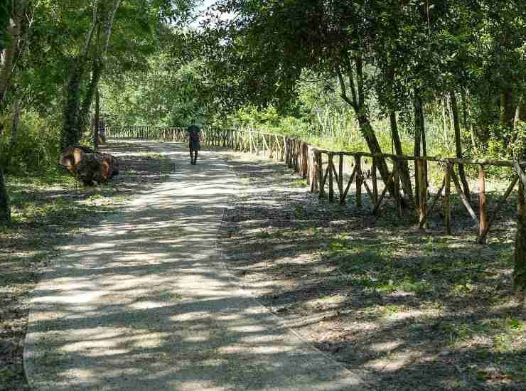 Un parco a Roma